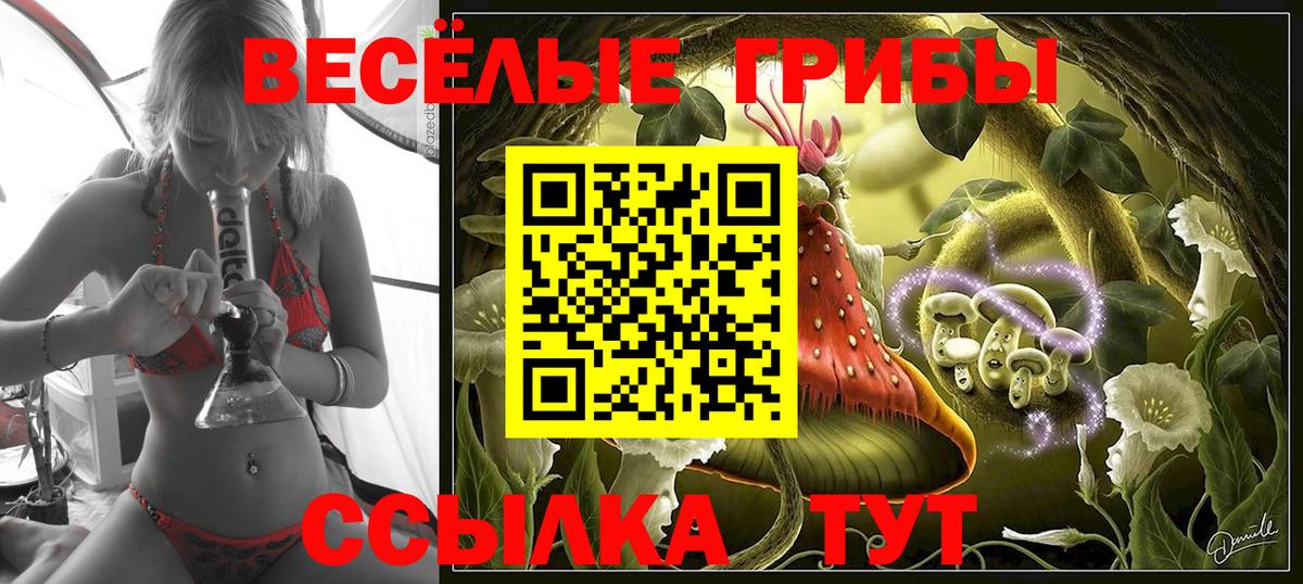 Заволжье  Галлюциногенные грибы Magic Shrooms  Вход с VPN 